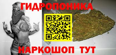 индика Кимры