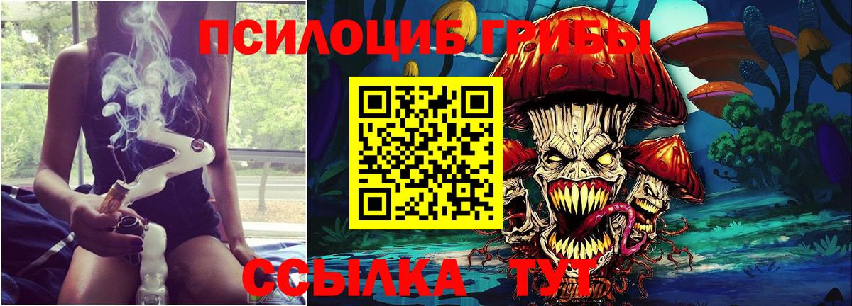 Галлюциногенные грибы Psilocybine cubensis Пенза