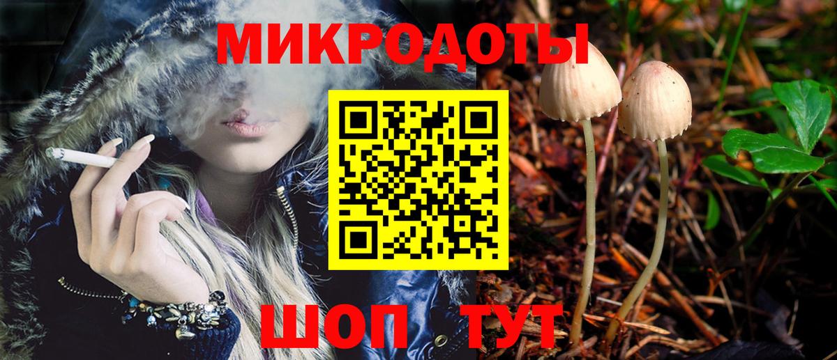 Пенза  Псилоцибиновые грибы Psilocybe  Вход с VPN 